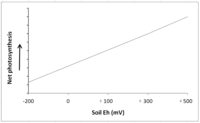 Biology 01 00196 g006 200