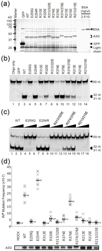 Biology 01 00260 g002 200