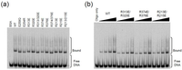 Biology 01 00260 g004 200