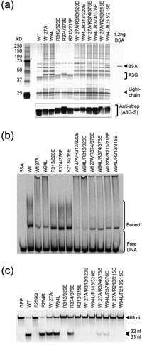 Biology 01 00260 g006 200