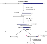 Biology 01 00495 g001 200