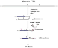 Biology 01 00495 g004 200