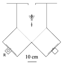 Biology 01 00508 g003 200