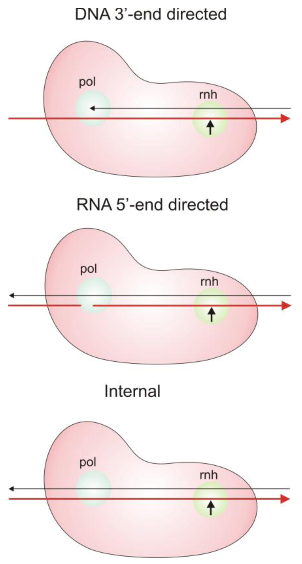 Biology 01 00521 g005 1024