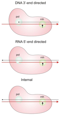 Biology 01 00521 g005 200