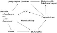Biology 01 00542 g002 200