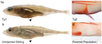 Biology 01 00557 g001 200