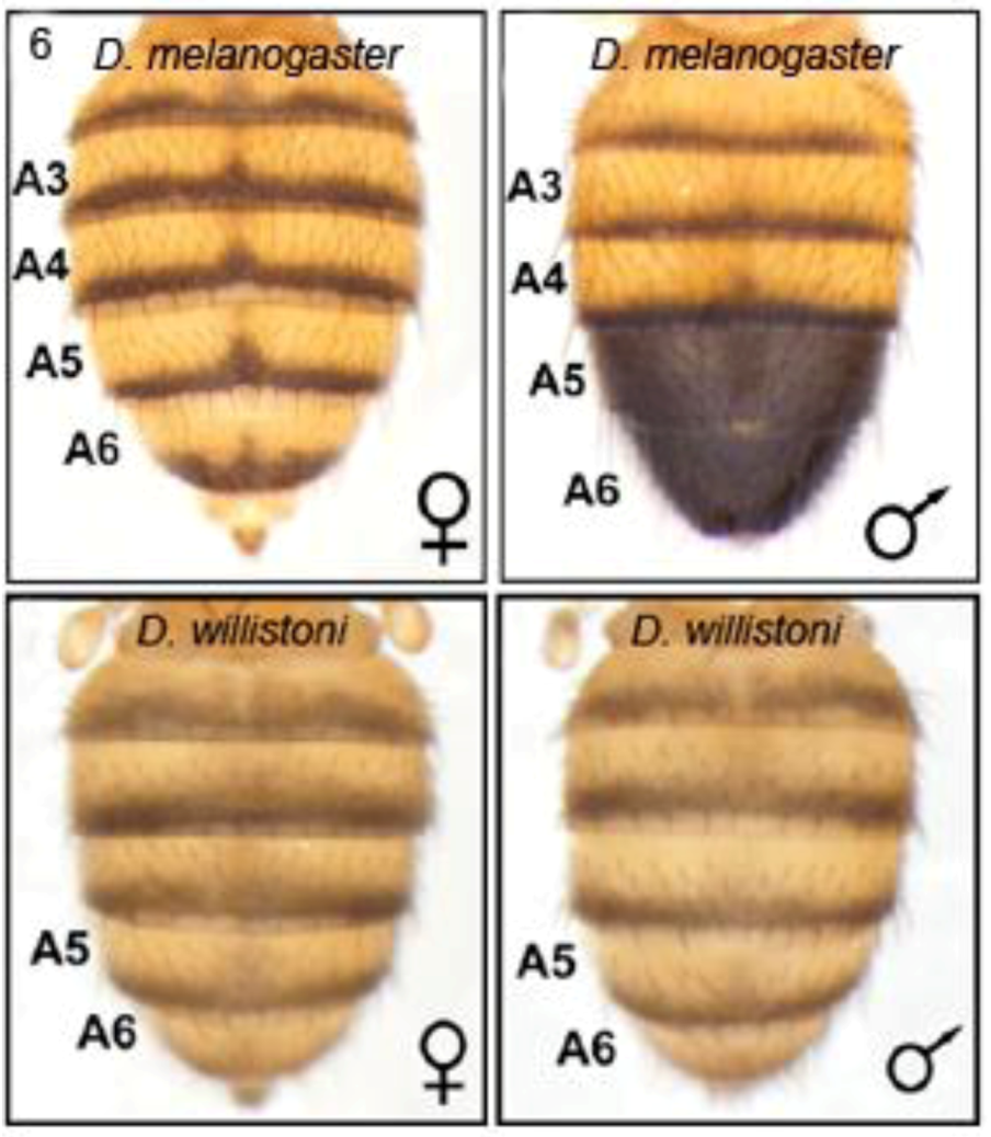 Biology 01 00557 g006 1024