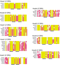 Biology 01 00557 g007 200