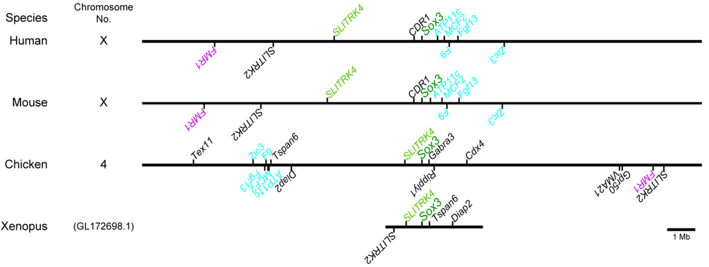 Biology 01 00714 g007 1024