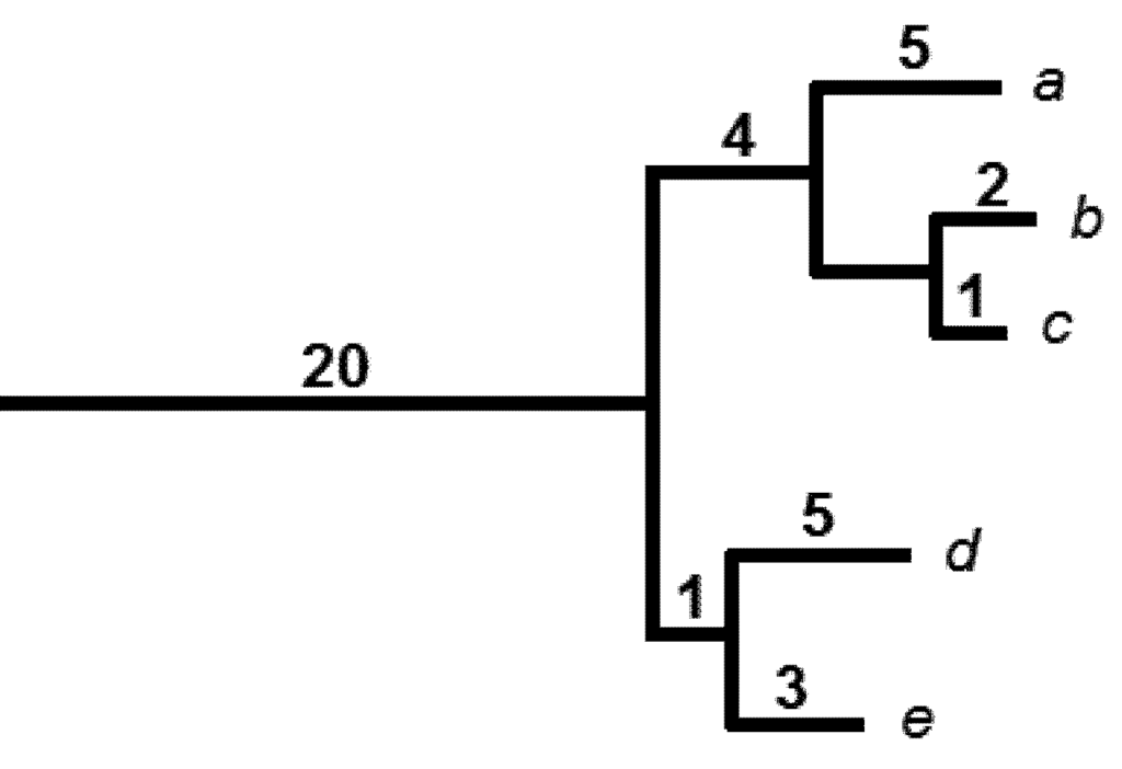 Biology 01 00906 g001 1024