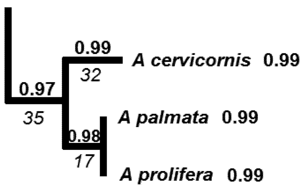 Biology 01 00906 g003 1024