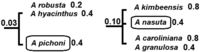 Biology 01 00906 g004 200