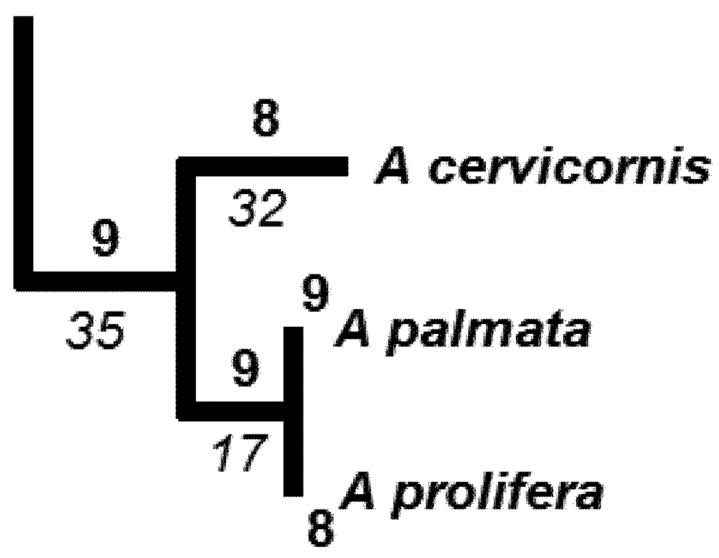 Biology 01 00906 g006 1024