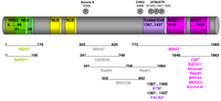 Biology 02 00040 g001 200