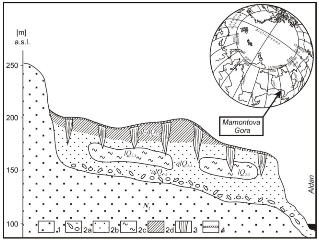 Biology 02 00085 g002 1024