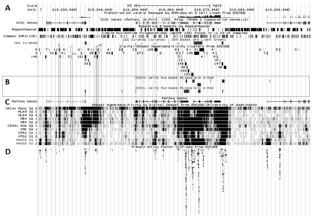 Biology 02 00233 g005 1024