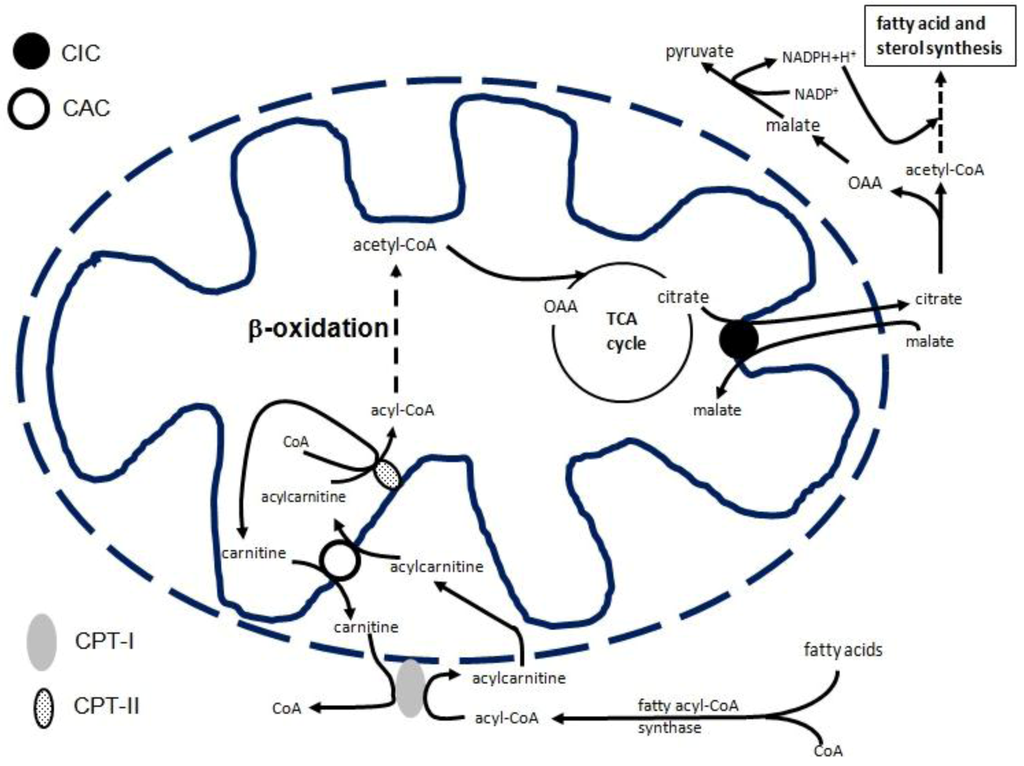Biology 02 00284 g001 1024