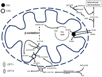 Biology 02 00284 g001 200