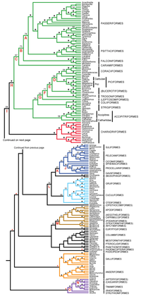 Biology 02 00419 g001 200