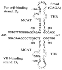 Biology 02 00555 g002 200