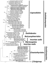 Biology 02 00784 g003 200