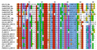 Biology 02 01150 g003 200