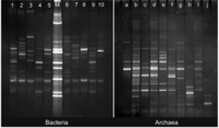 Biology 02 01165 g002 200