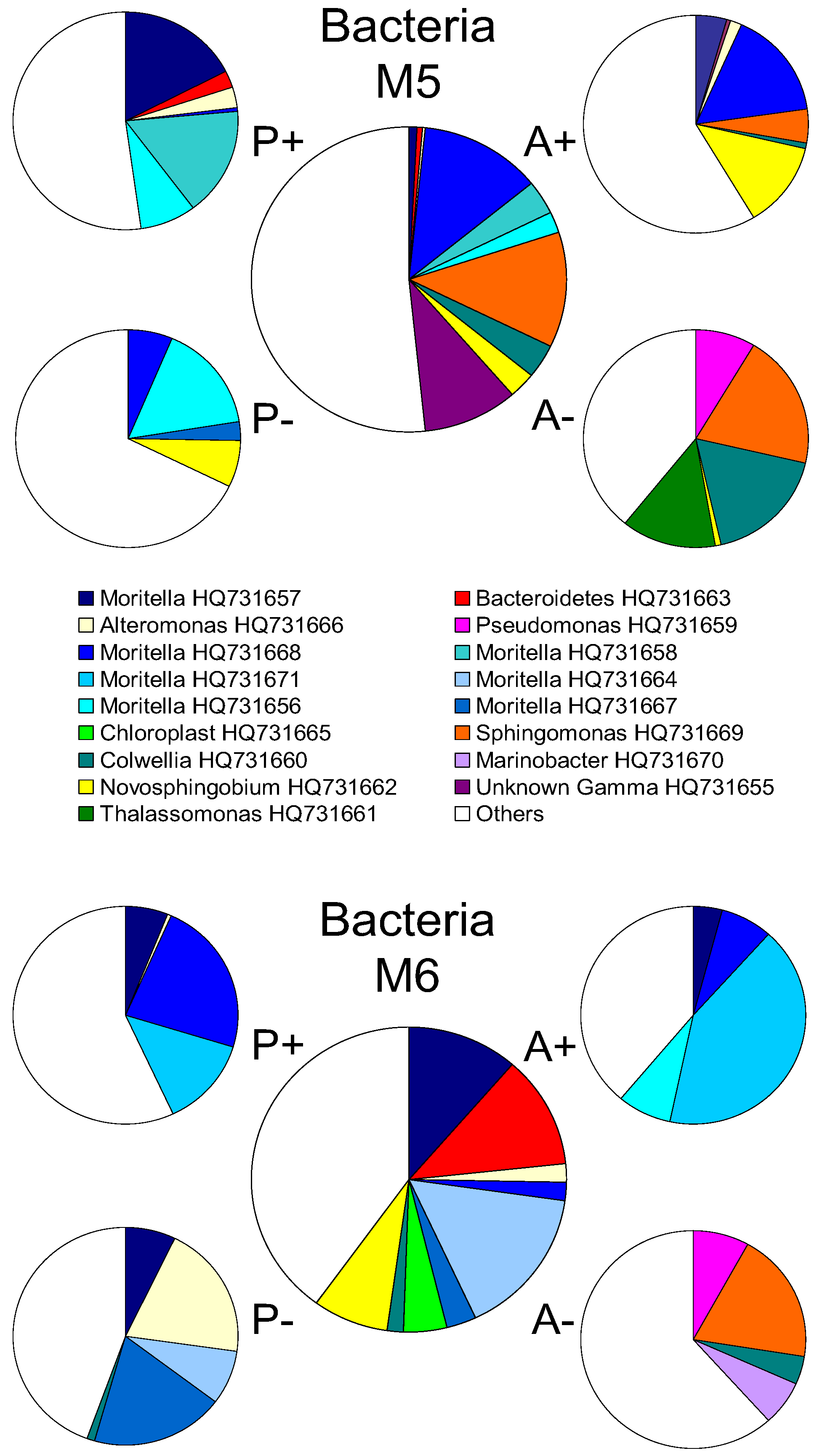 Biology 02 01165 g006
