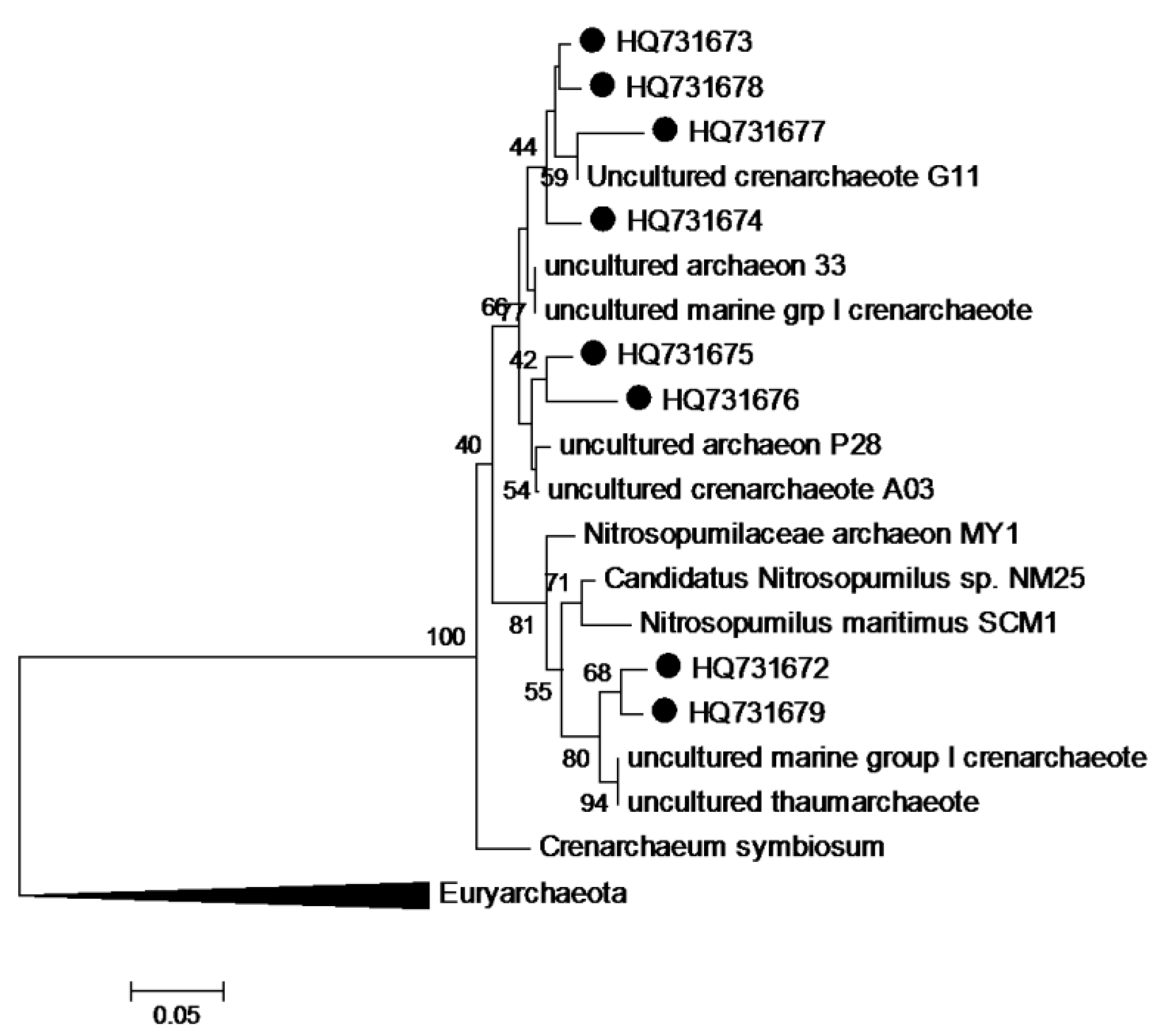 Biology 02 01165 g008
