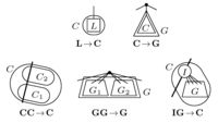 Biology 02 01189 g011 200