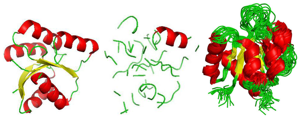 Biology 02 01296f5 1024