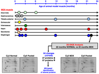Biology 02 01438 g002 200