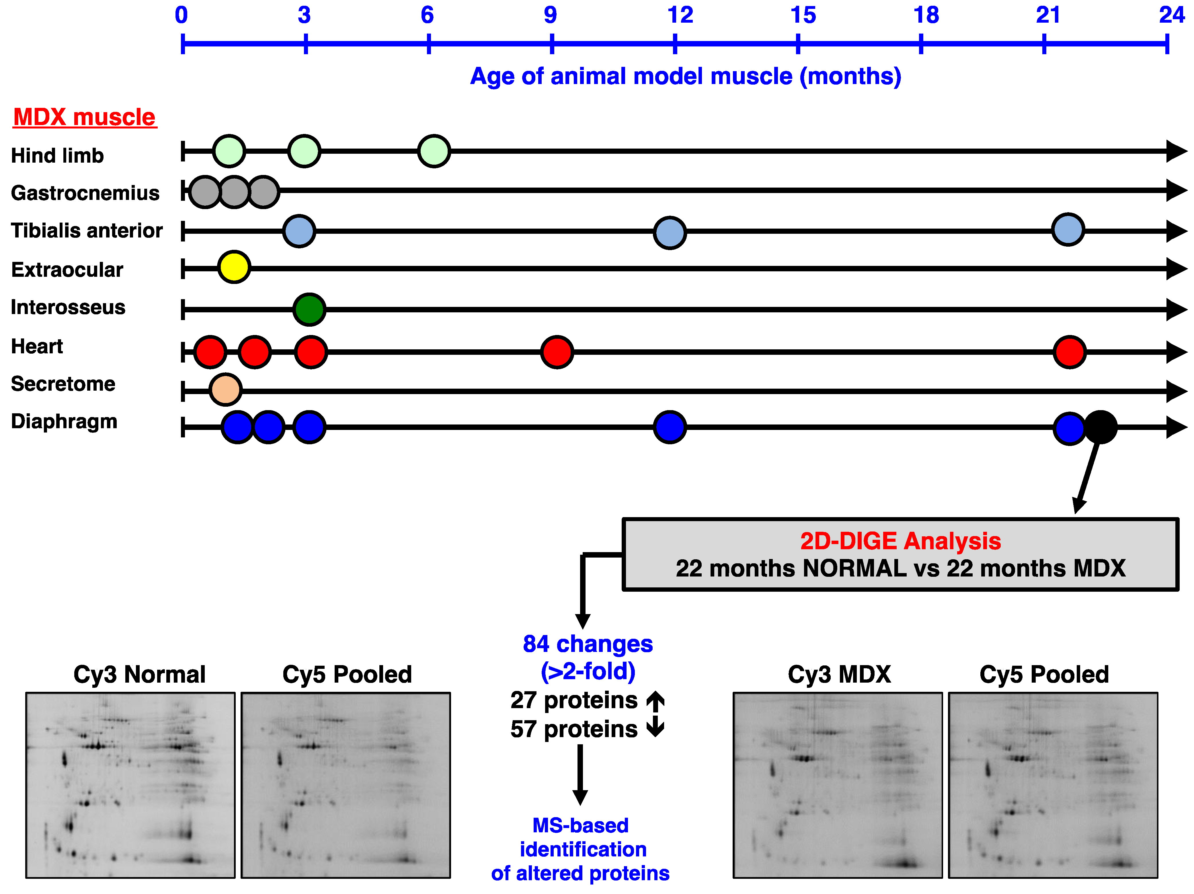 Biology 02 01438 g002