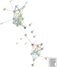 Biology 02 01438 g006 200