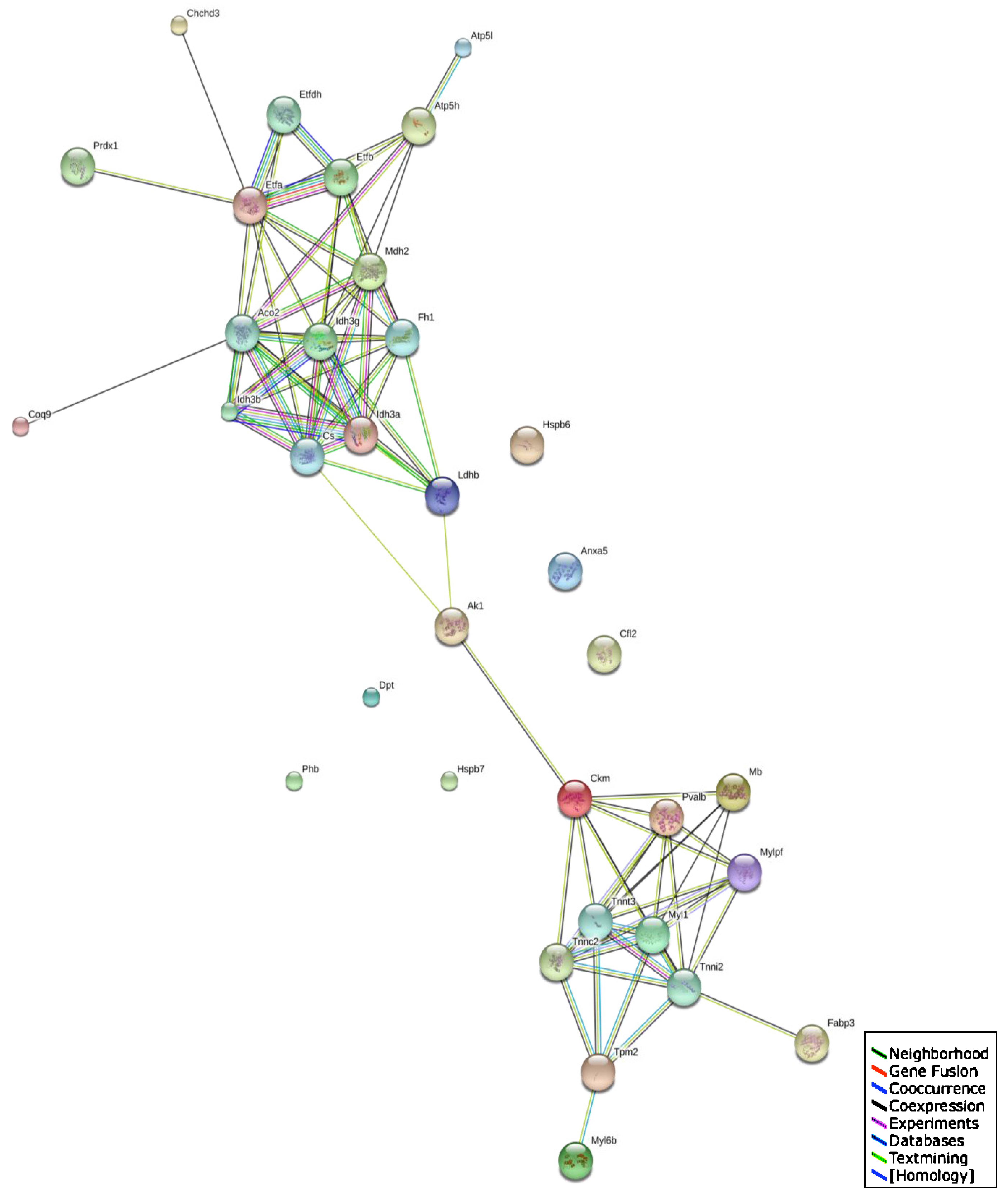 Biology 02 01438 g006