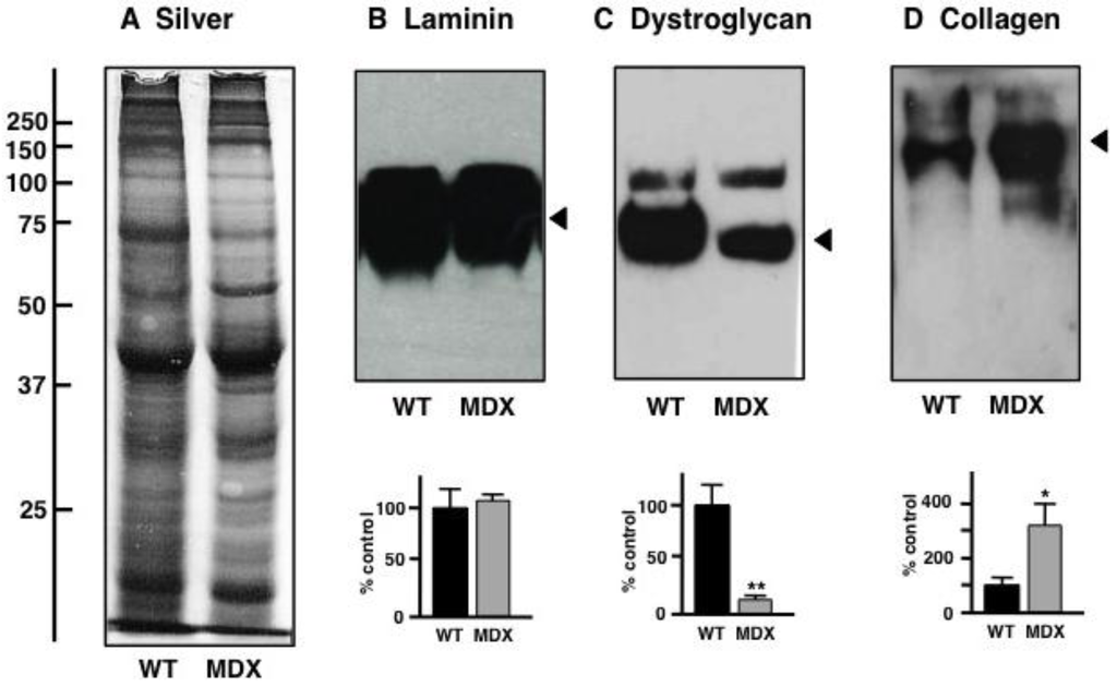 Biology 02 01438 g007 1024
