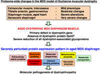 Biology 02 01438 g009 200