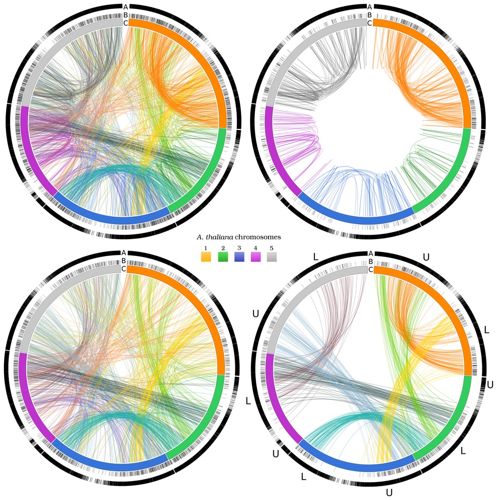 Biology 02 01465f3 1024