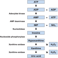 Biology 03 00157 g001 200