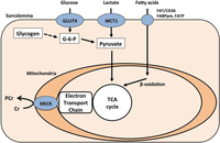 Biology 03 00157 g002 200
