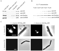 Biology 03 00178 g002 200
