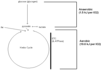 Biology 03 00255 g001 200