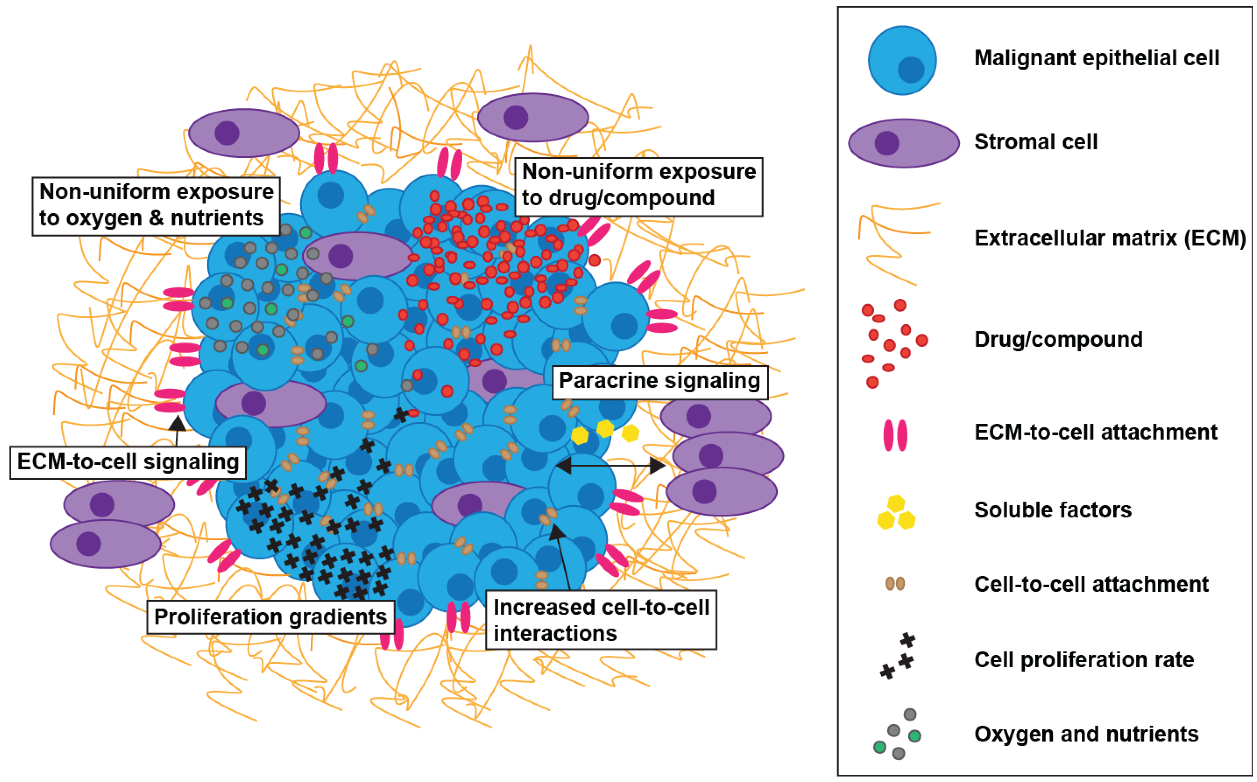 Biology 03 00345 g002