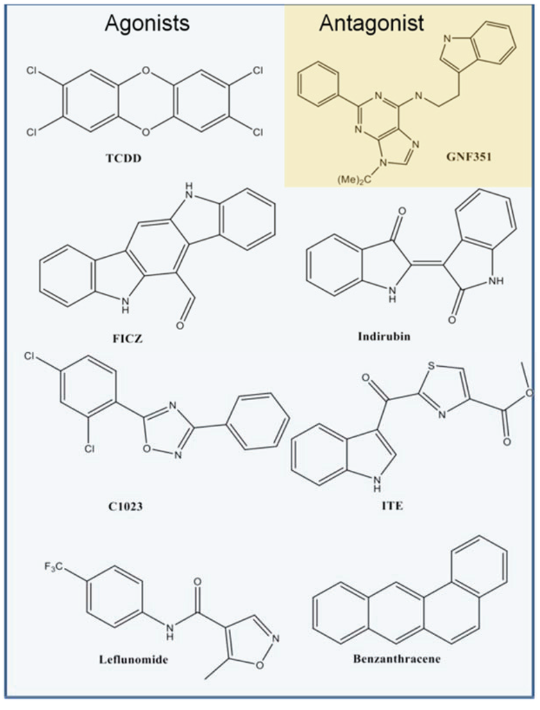 Biology 03 00645 g001 1024