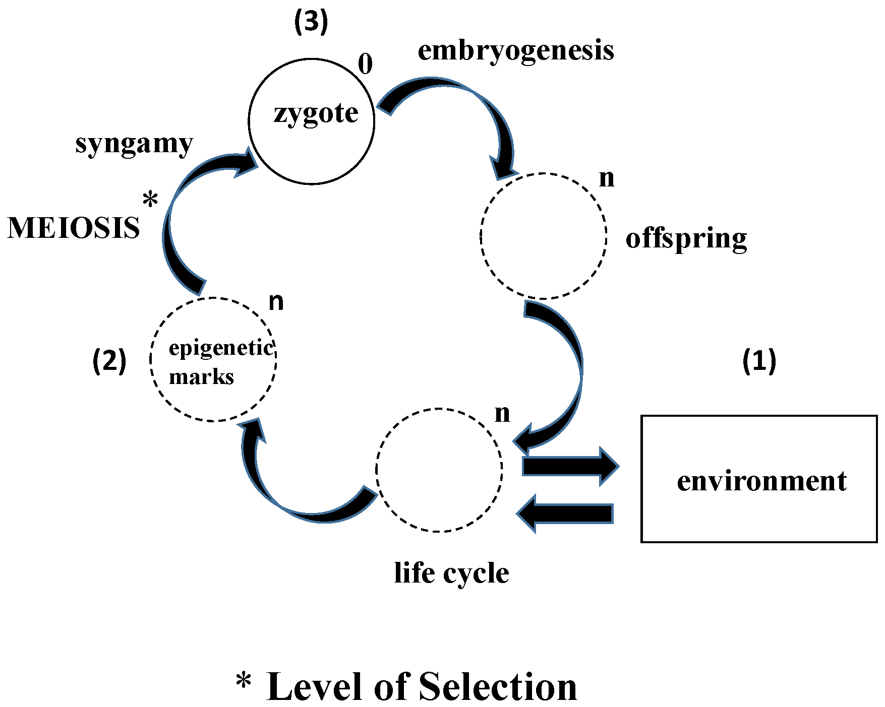 simple chemistry and biology articles simple biology articles