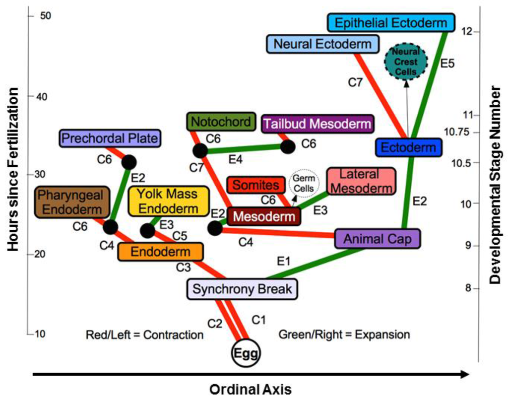 Biology Special Issue Beyond the Modern Evolutionary Synthesis