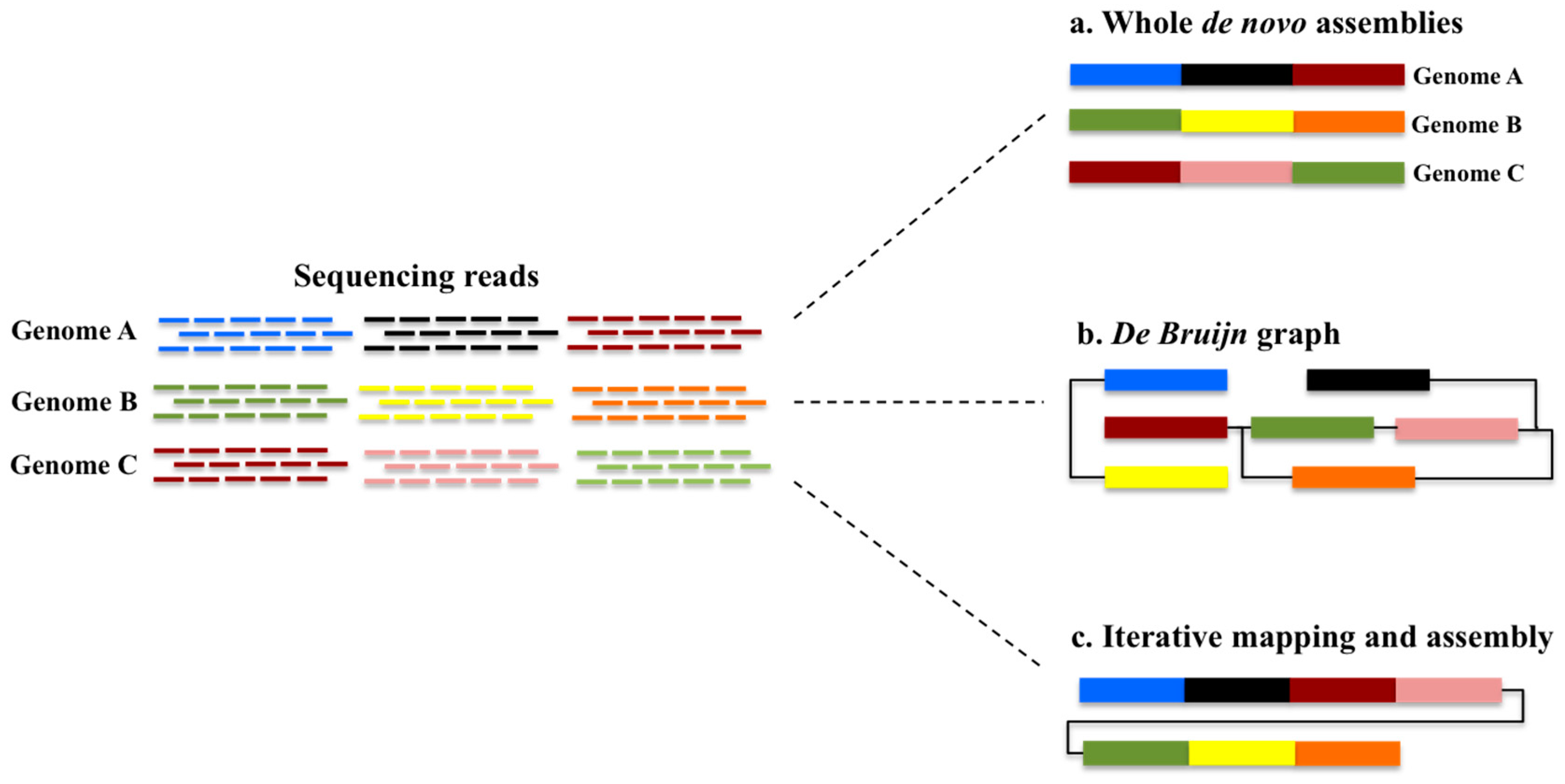 Dna sequencing research paper