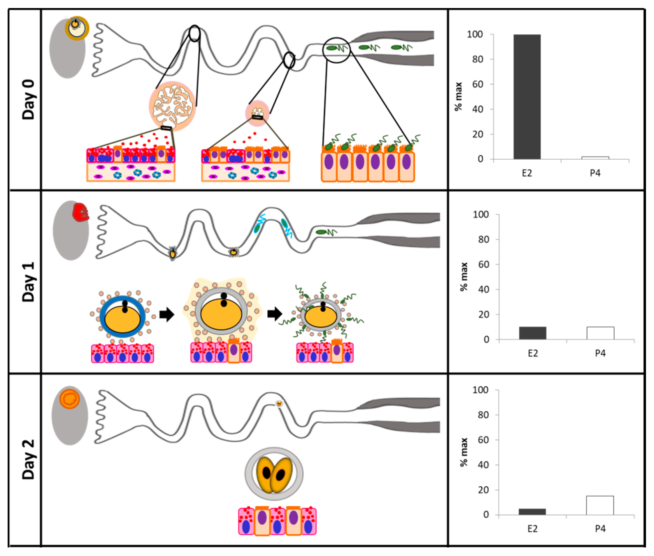 Biology 07 00015 g002a