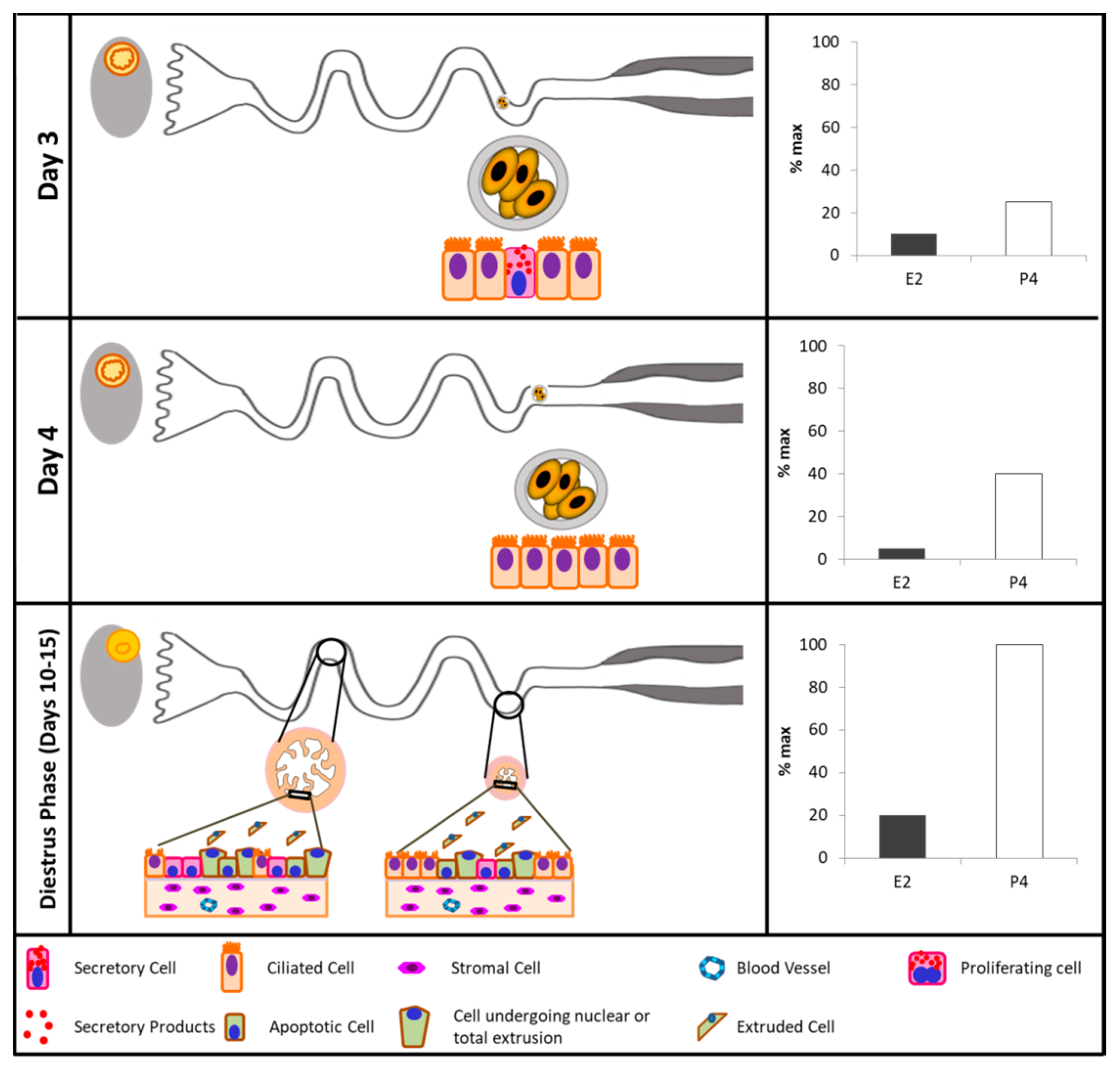 Biology 07 00015 g002b
